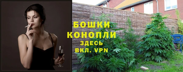 мет Абаза
