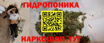 скорость Можга