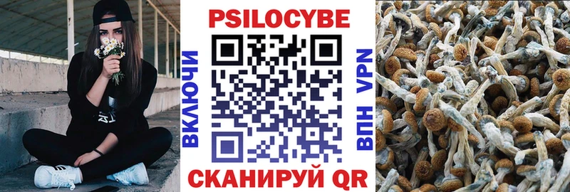 Псилоцибиновые грибы Psilocybine cubensis  Орск 