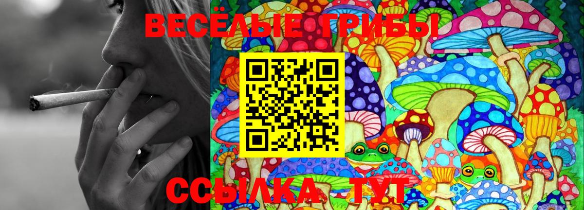 Галлюциногенные грибы мухоморы  Вход с VPN  Орск 