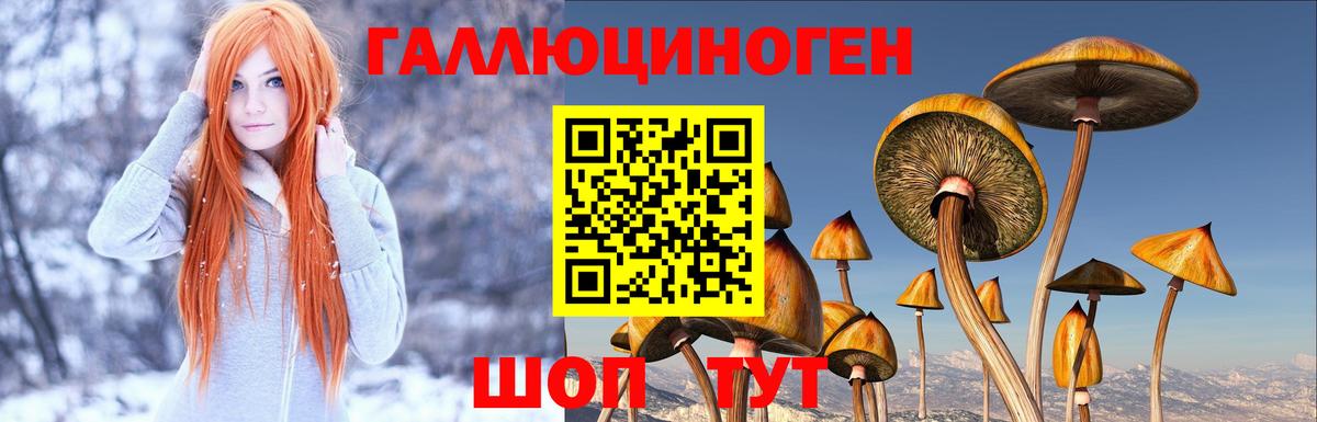 Галлюциногенные грибы MAGIC MUSHROOMS Орск